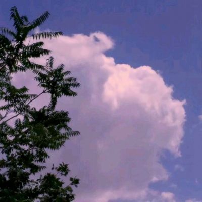 白发魔女之晓月屠魔手游下载